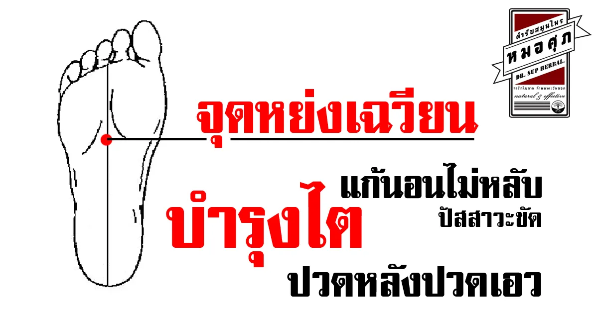 iTopPlus1420535019103