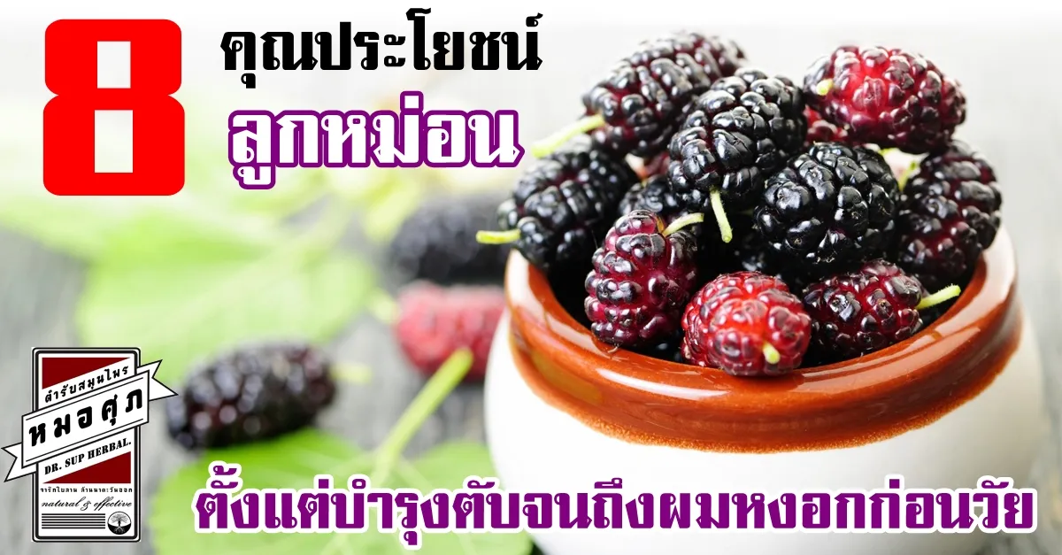 iTopPlus1420868149512