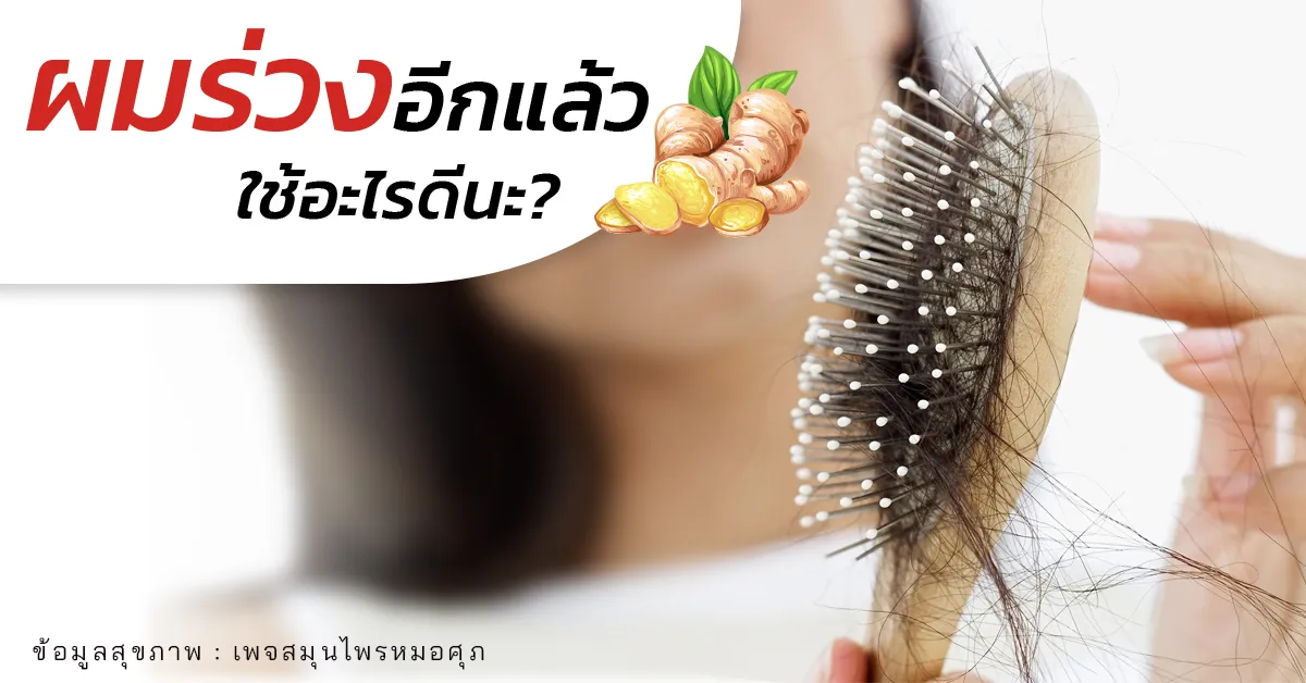 iTopPlus216531897888