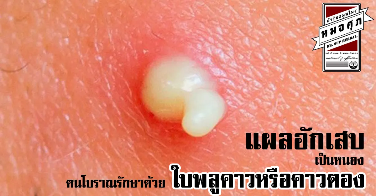 iTopPlus228524886560