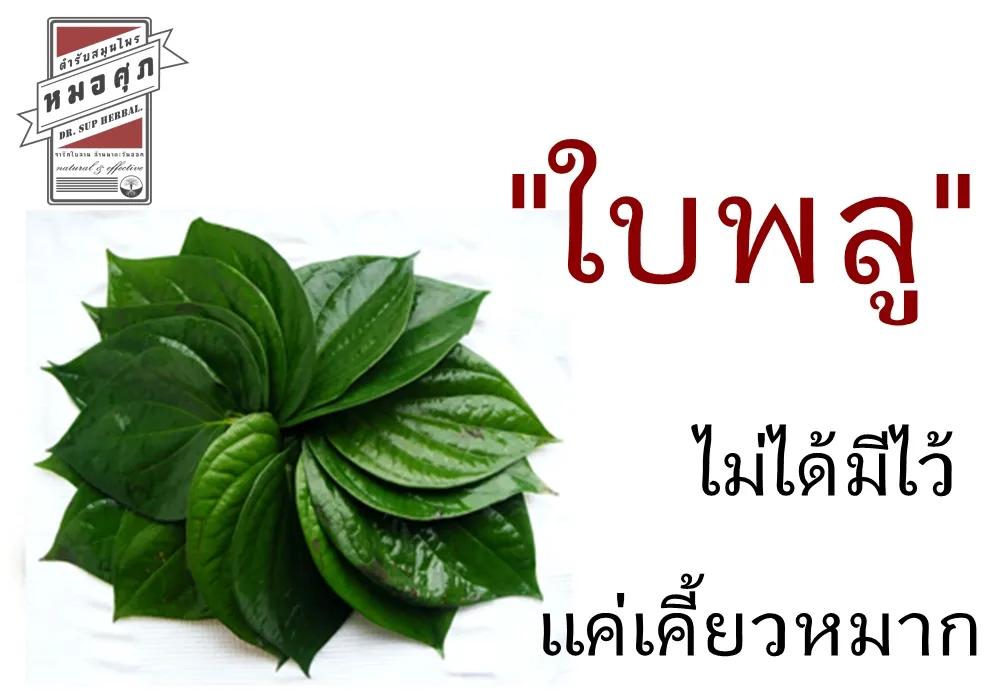 iTopPlus291981080189
