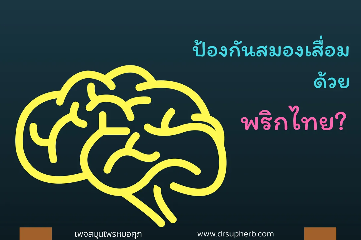 iTopPlus325055741445