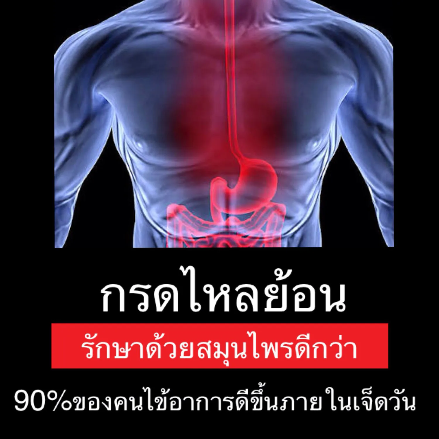 iTopPlus420751467880