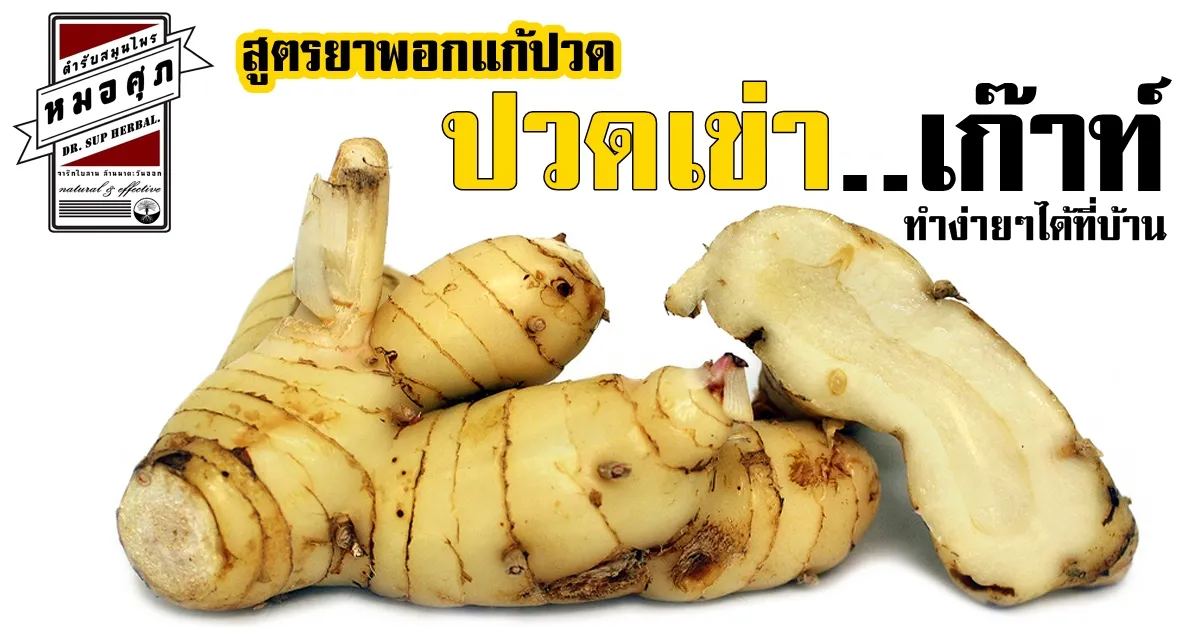 iTopPlus747095338732