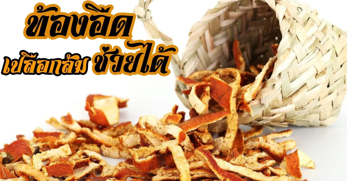 iTopPlus981934341931