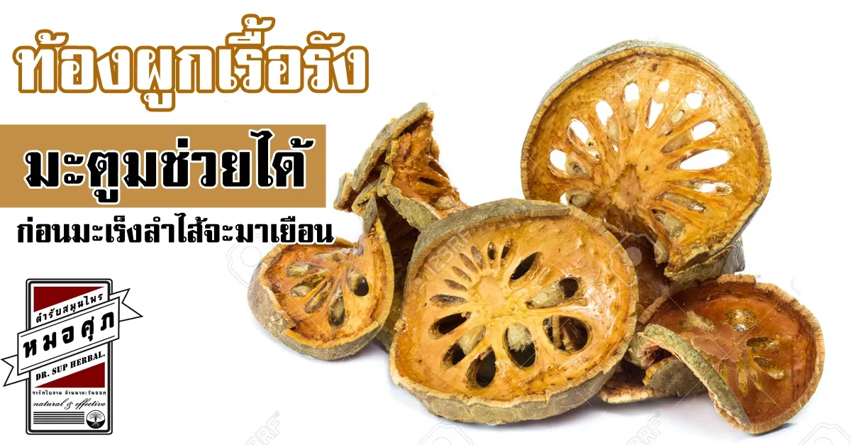 iTopPlus998295557037