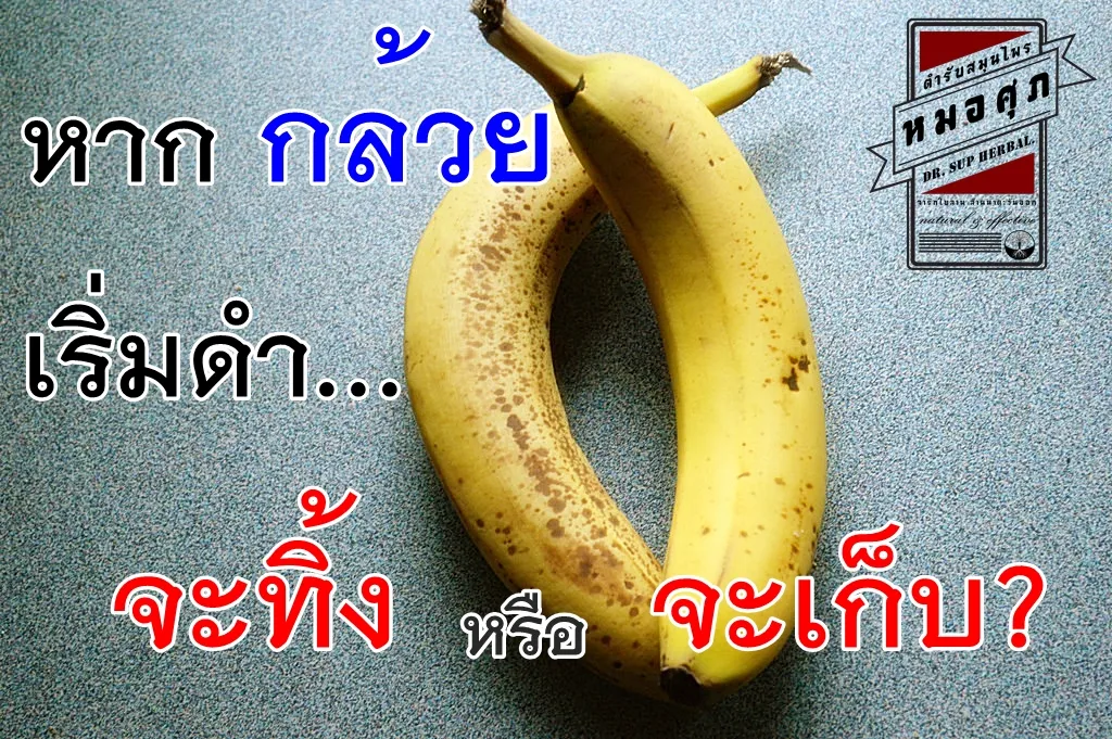 iTopPlus186149501439
