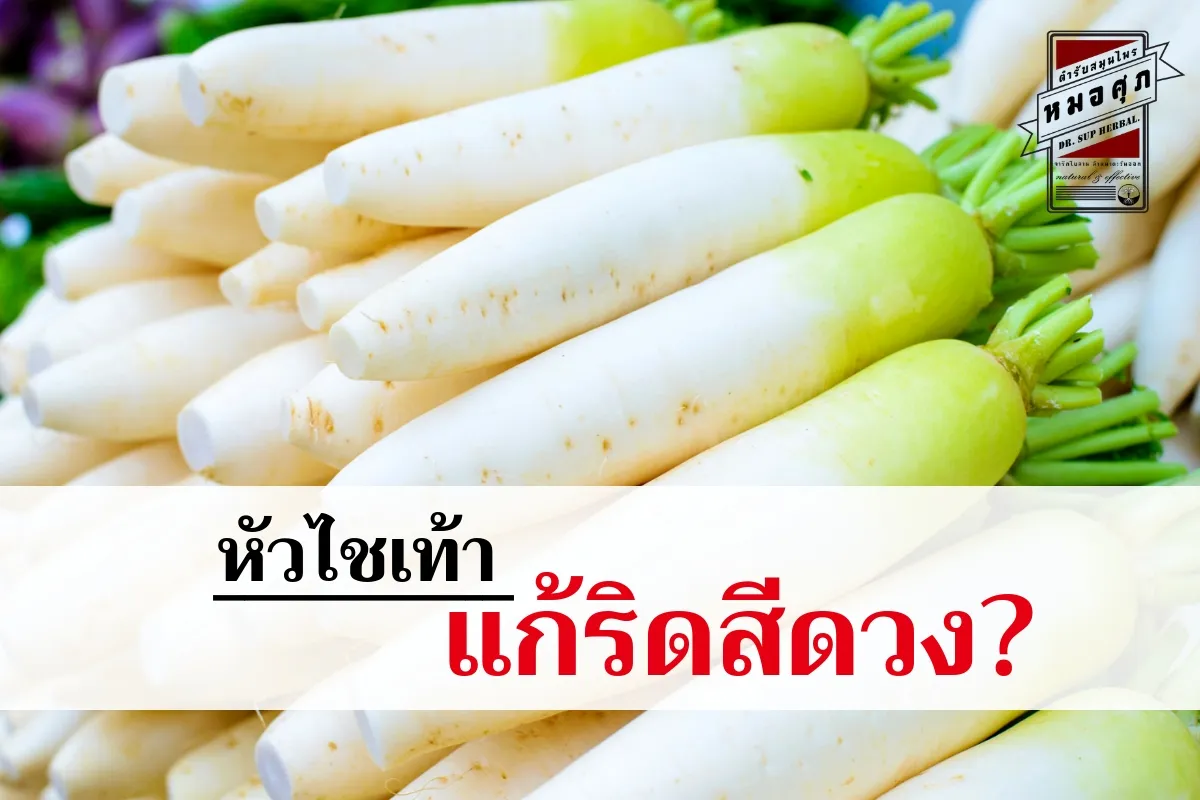 iTopPlus1001989045459