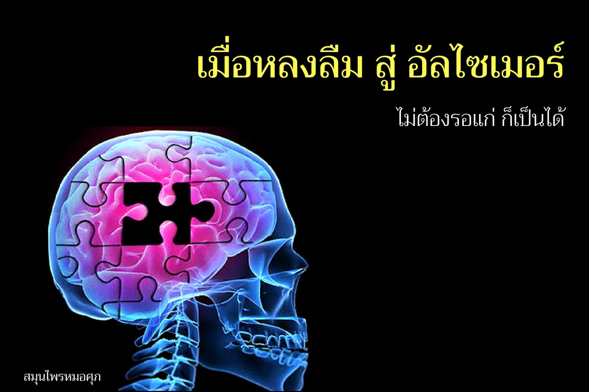 iTopPlus1023423049351