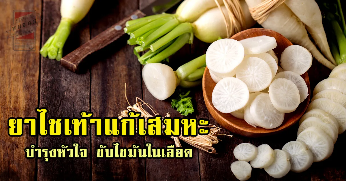iTopPlus1499377201191