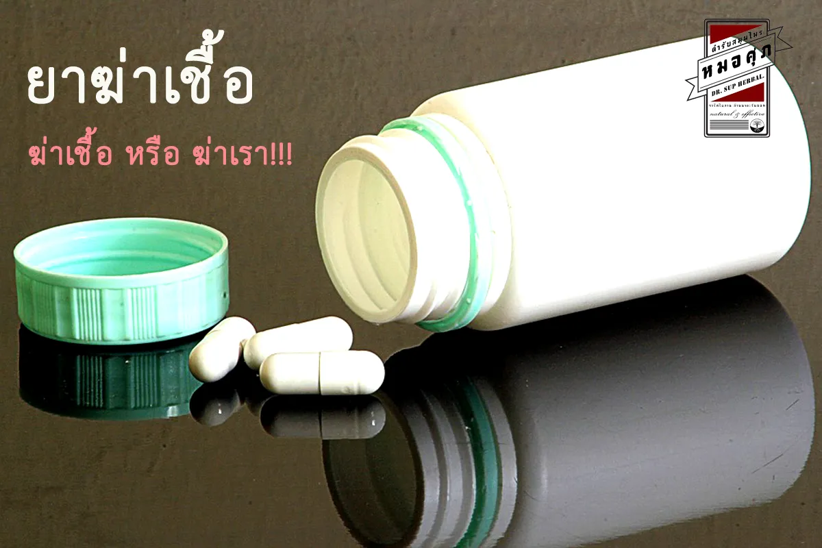 iTopPlus303544419203