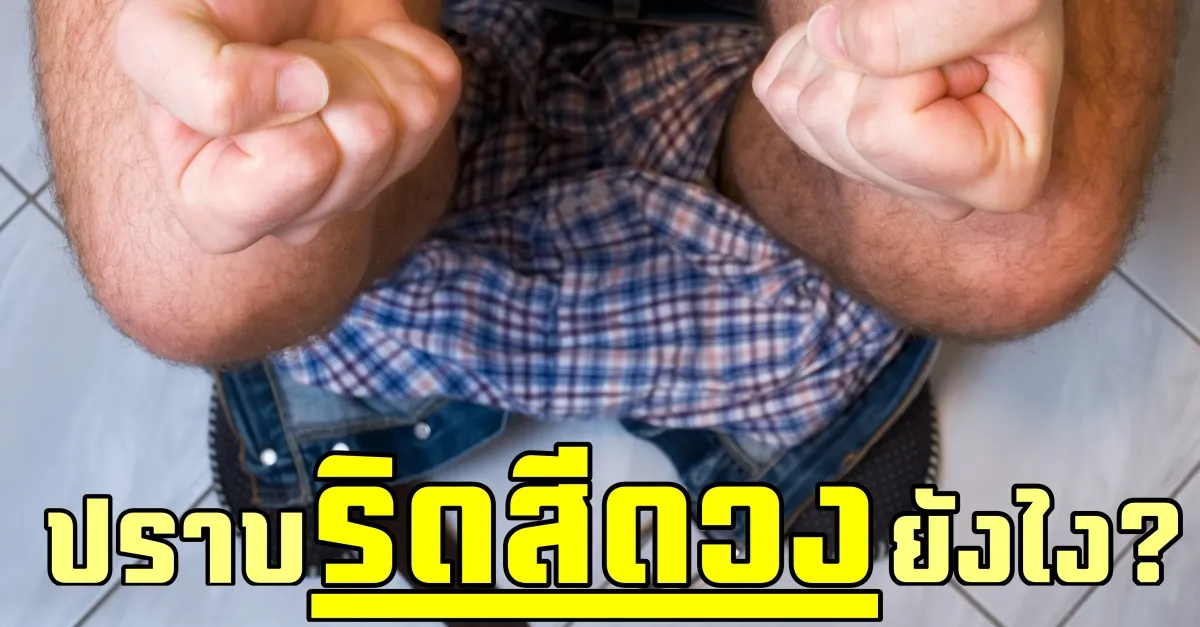 iTopPlus373112239391