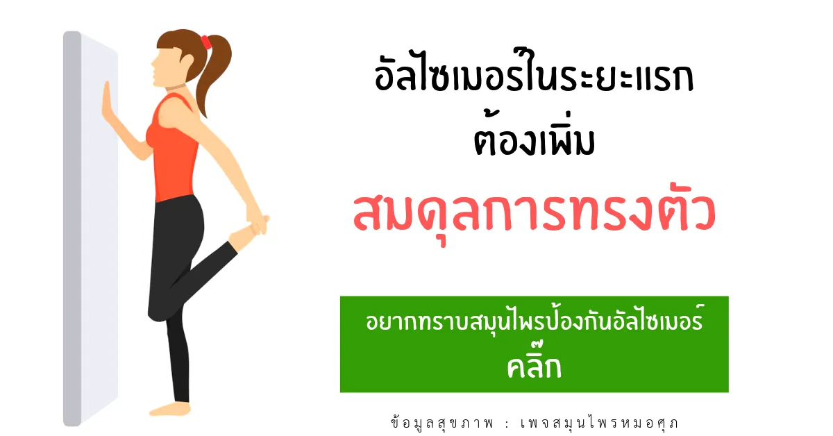 iTopPlus496882679953