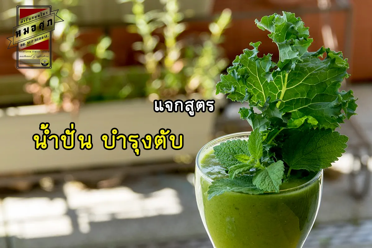 iTopPlus879597017264
