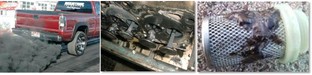 iTopPlus838227819705
