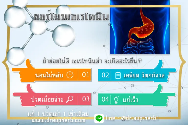 iTopPlus203205253652