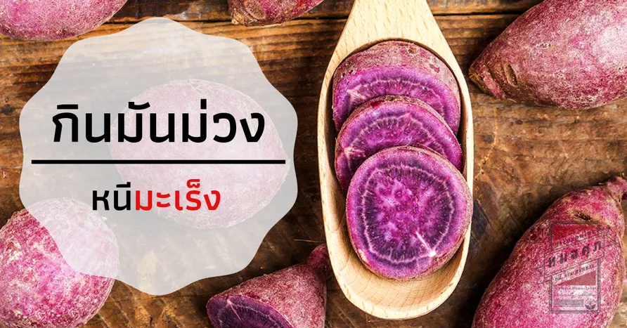 iTopPlus1051293723431