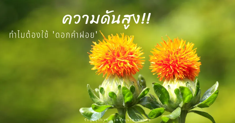 iTopPlus1209834911112