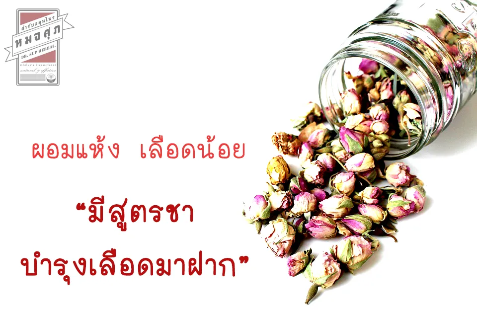iTopPlus1377064163384