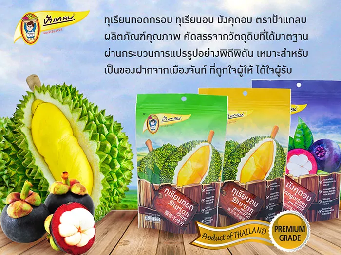iTopPlus102145468739