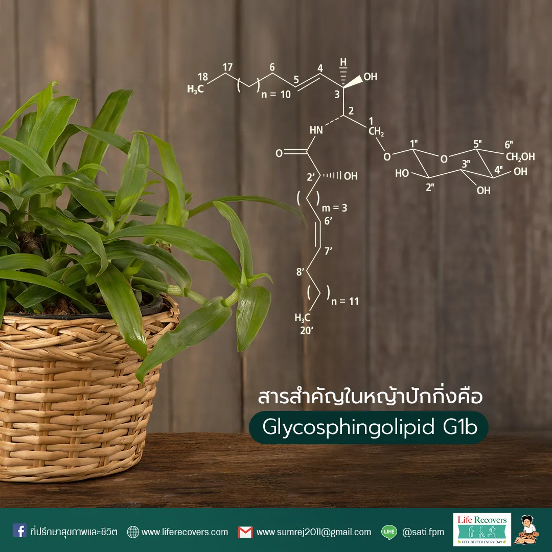 GlycosphingolipidG1b