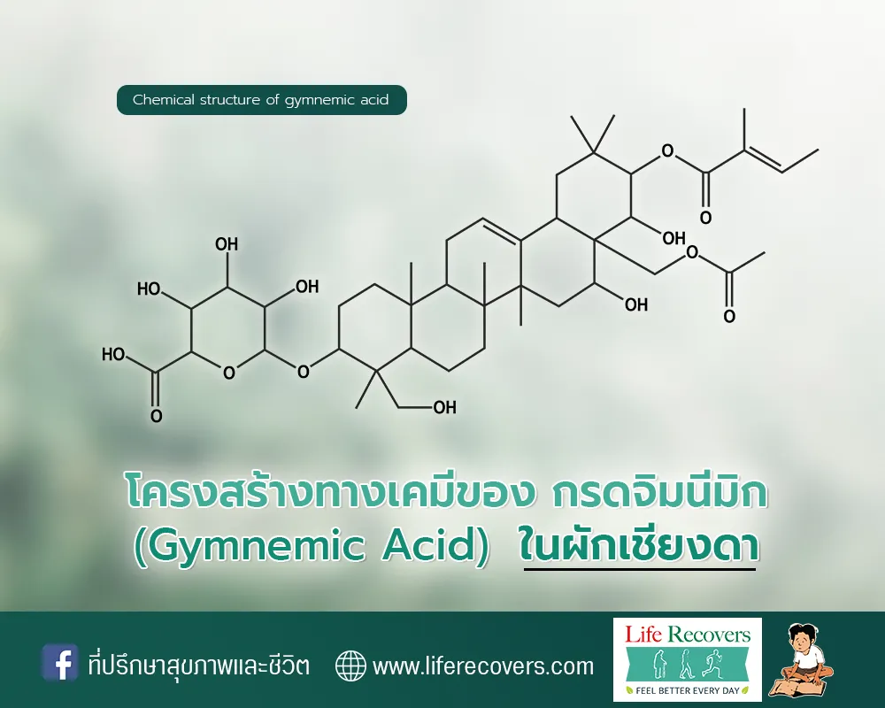 GymnemicAcidStuckture