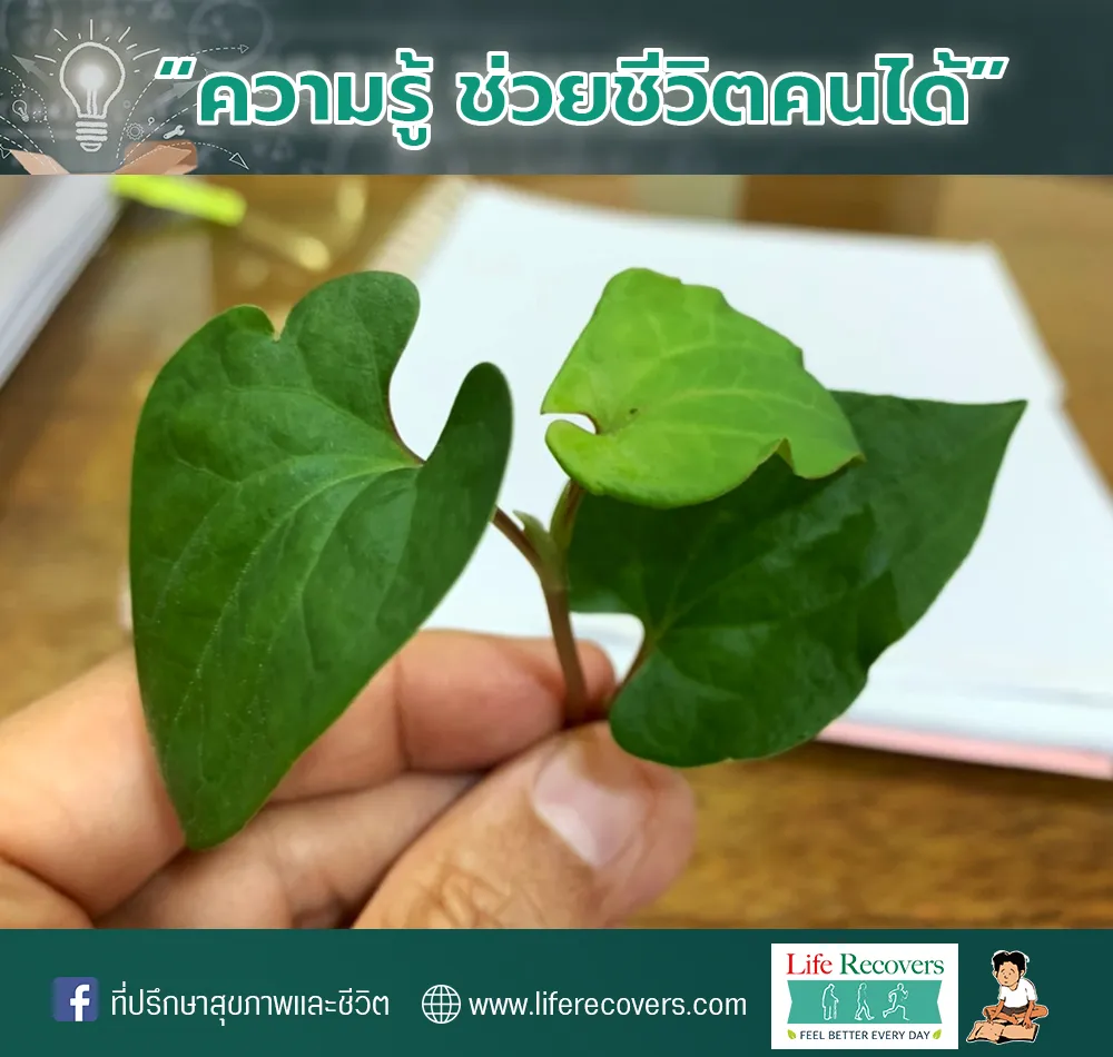 ความรู้ช่วยชีวิตคนได้