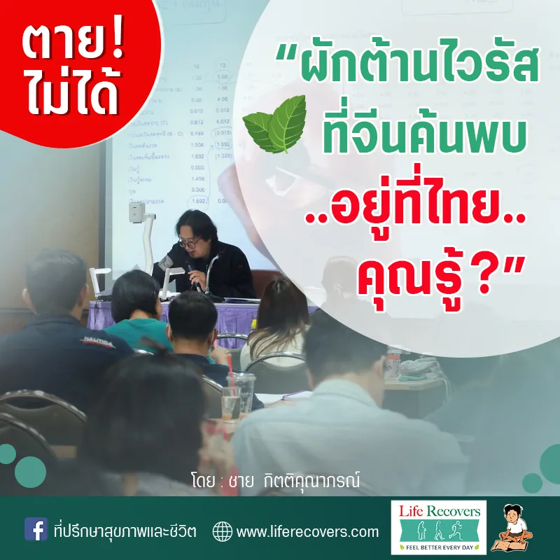 ตายไม่ได้Post1