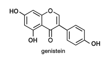 moleculegenistein