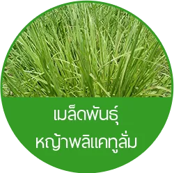iTopPlus111650630637