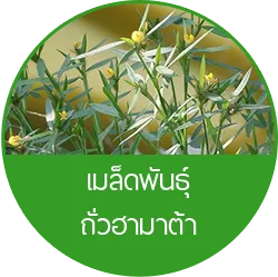 iTopPlus1184326898863
