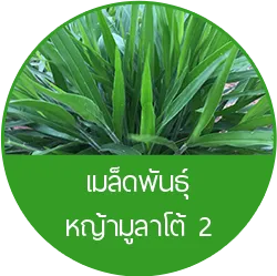 iTopPlus137729067672