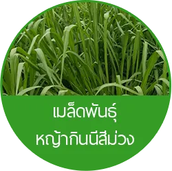 iTopPlus361767692323