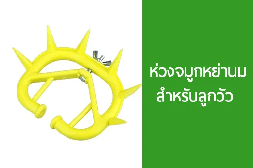 iTopPlus963107559784