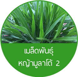 iTopPlus1054097633686