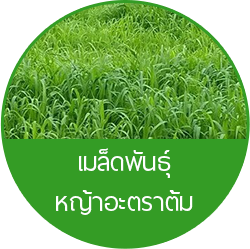 iTopPlus1248270560292