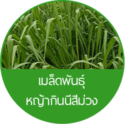 iTopPlus655513097080