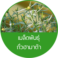 iTopPlus976528972798