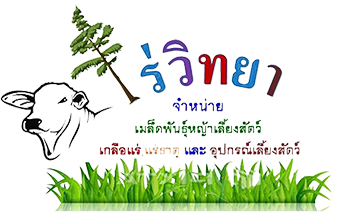 iTopPlus1100720805966