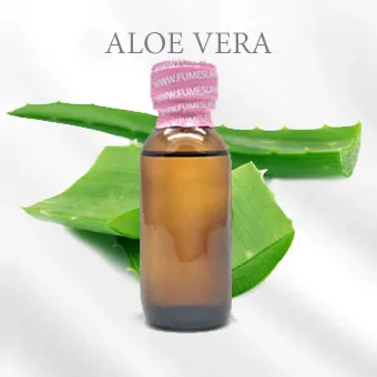 ALOE VERA ว่านหางจรเข้