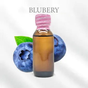 BLUBERY บลูเบอร์รี