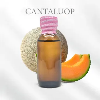 CANTALUOP แคนตาลูป