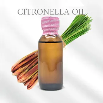 CITRONELLA OIL ตะไคร้ หอม