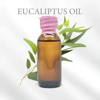 EUCALIPTUS OIL ยูคาลิปตัส ออยล์