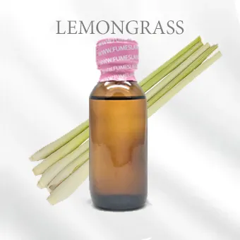 LEMONGRASS ตะไคร้ บ้าน