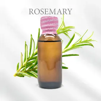 ROSEMARY โรสแมรี่