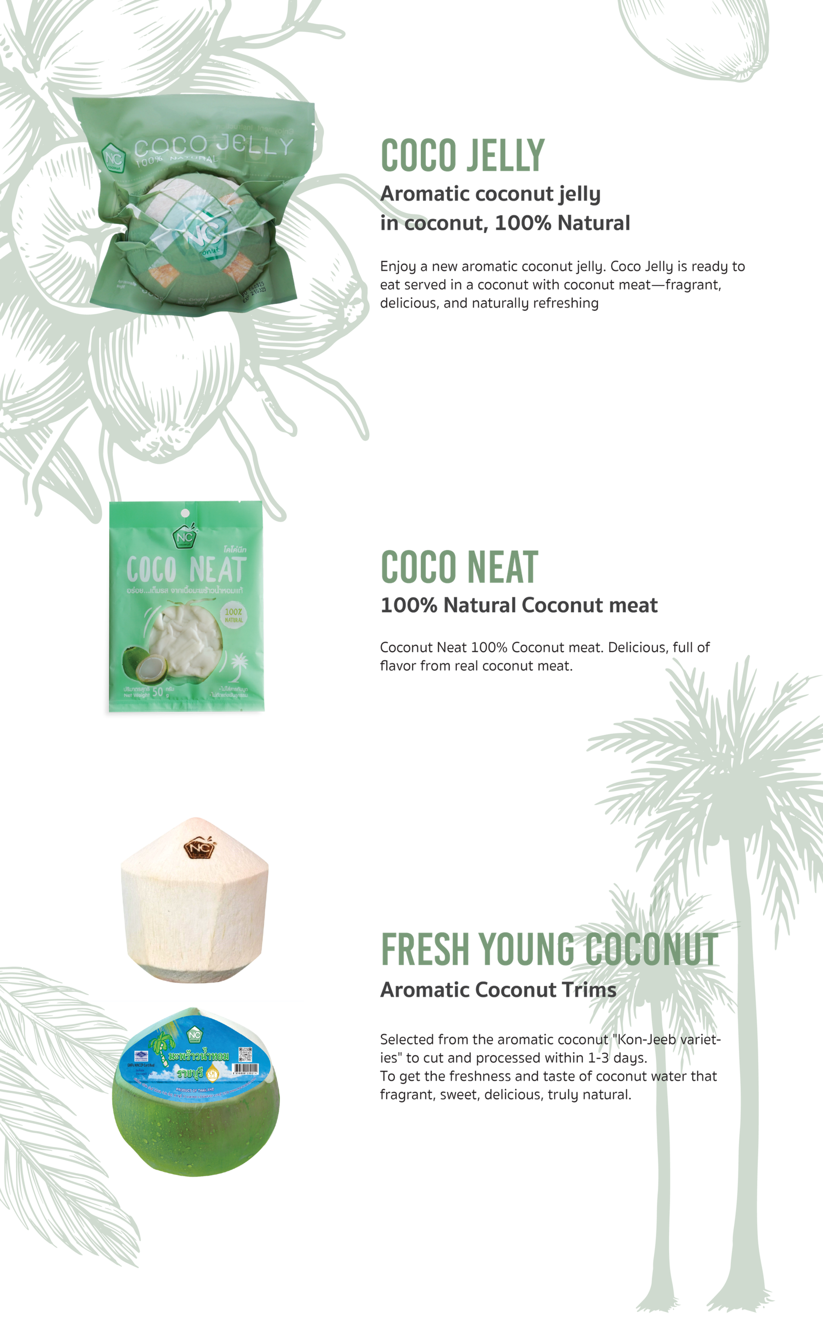 WEBNCCOCONUT2025-13