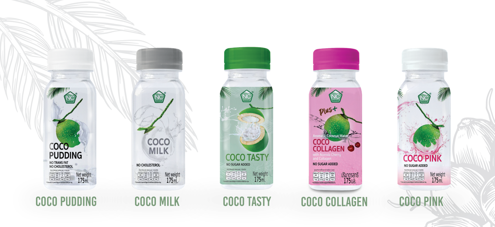 WEBNCCOCONUT2025-10