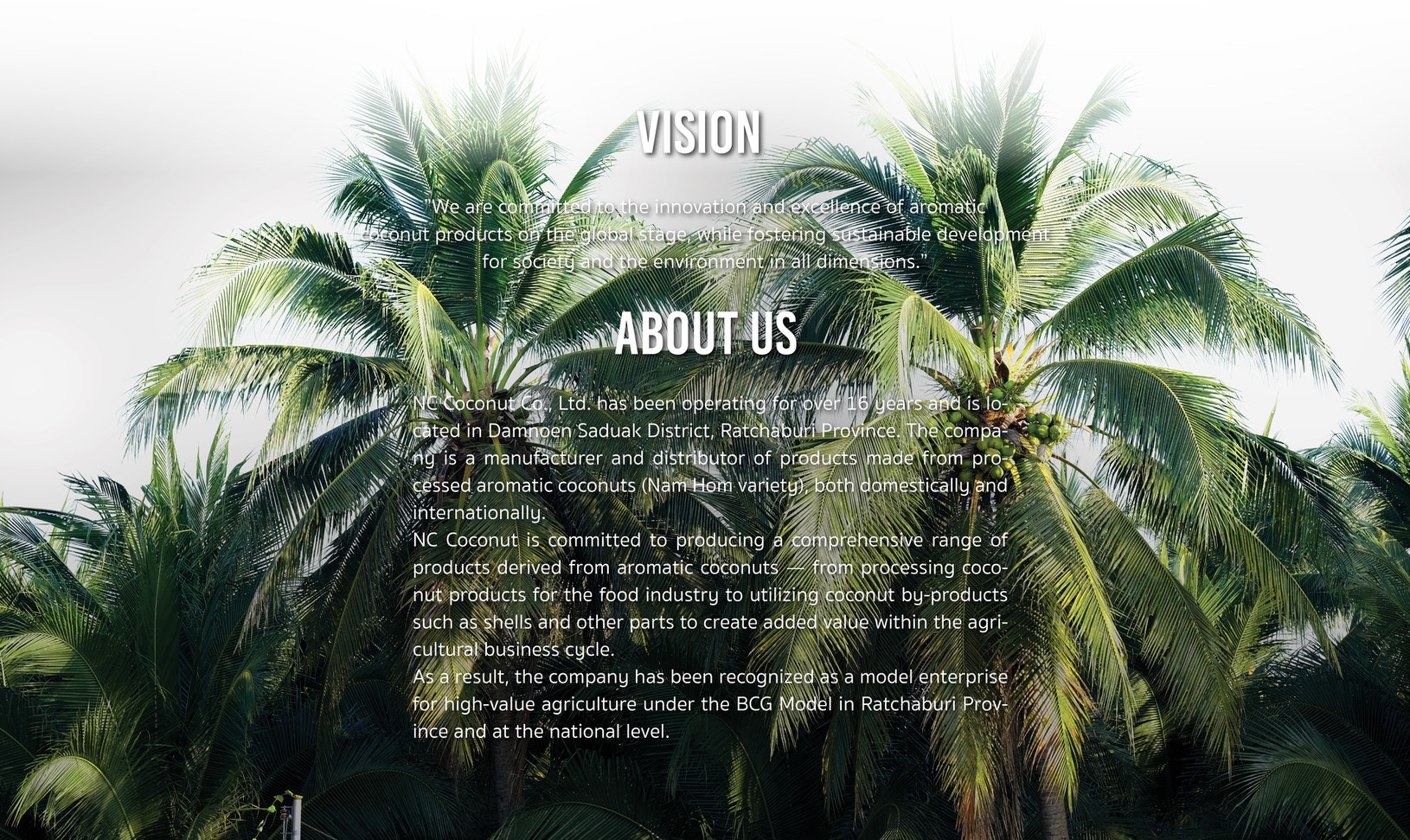 WEBNCCOCONUT20253-03
