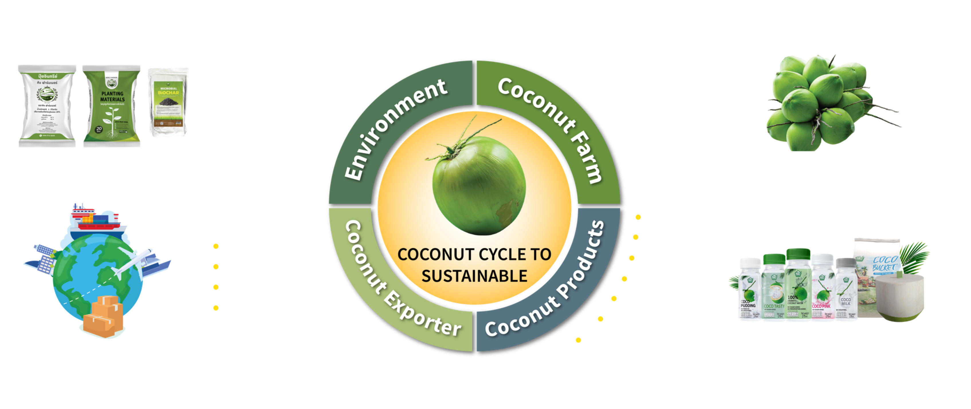 WEBNCCOCONUT2025-07
